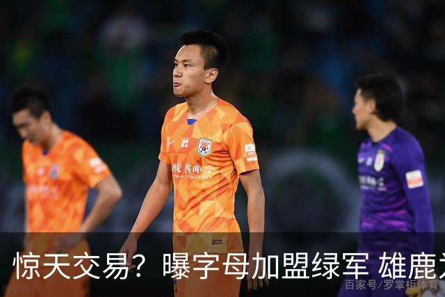 惊天交易？曝字母加盟绿军 雄鹿为布朗寻找第三方