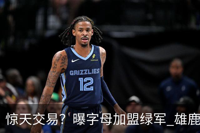 惊天交易？曝字母加盟绿军 雄鹿为布朗寻找第三方